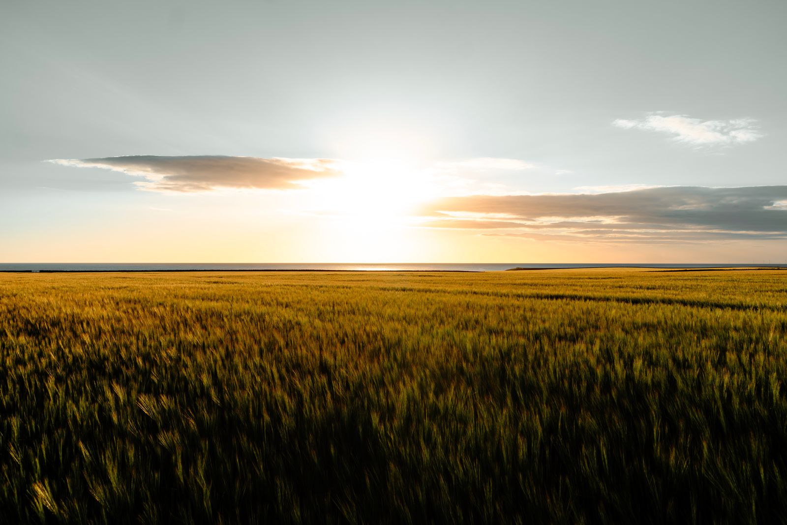 East Lothian countryside landscape