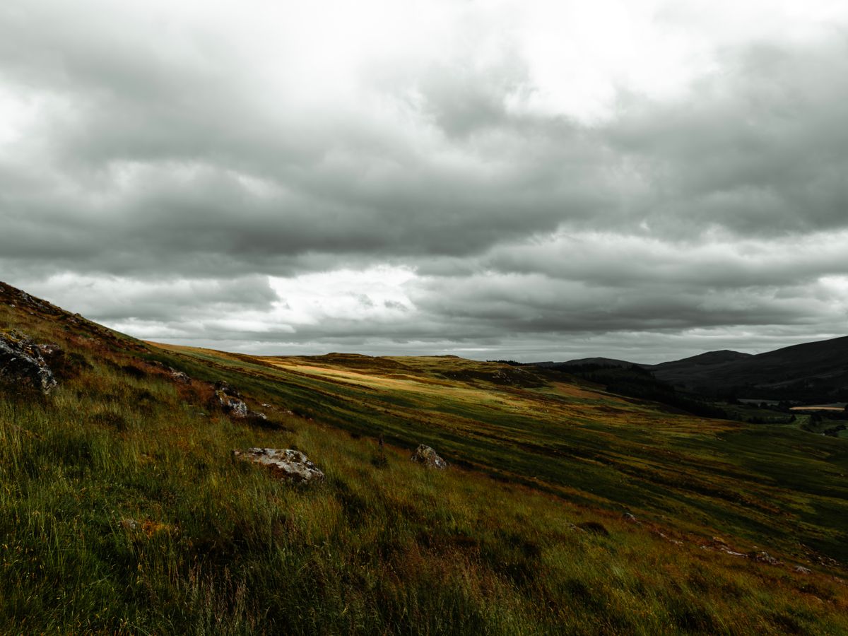 5 Day Back to Essence: Women's Restorative Retreat in the UK 1