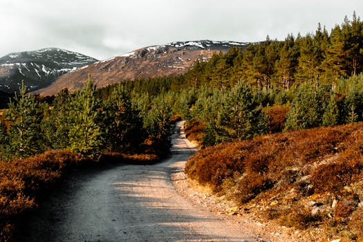 Breathtaking path through Scottish mountains and forests bathed in warm sunlight.