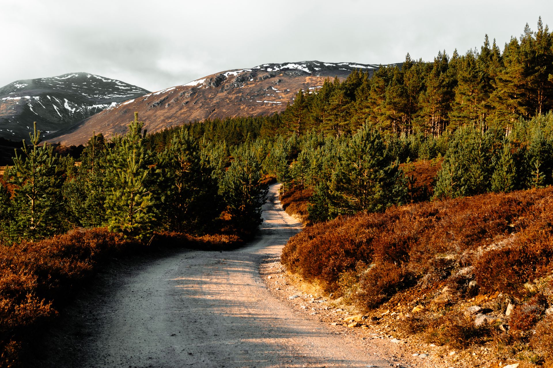 Landscape of Scottish, snowy hills lit up by the sun with dramatic shadows and contrast