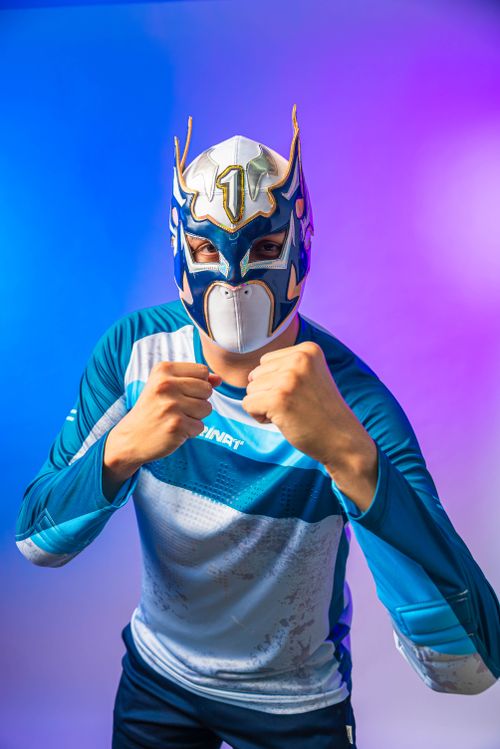 Masked Contender Masked Wrestler Triumphs in Lively Arena · Free Stock Photo