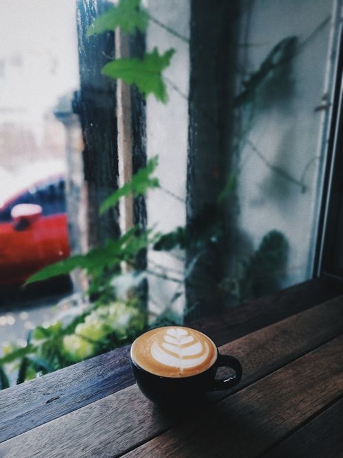 Free Artistic cup of latte with frothy art by a leafy window in a cozy cafe setting. Stock Photo