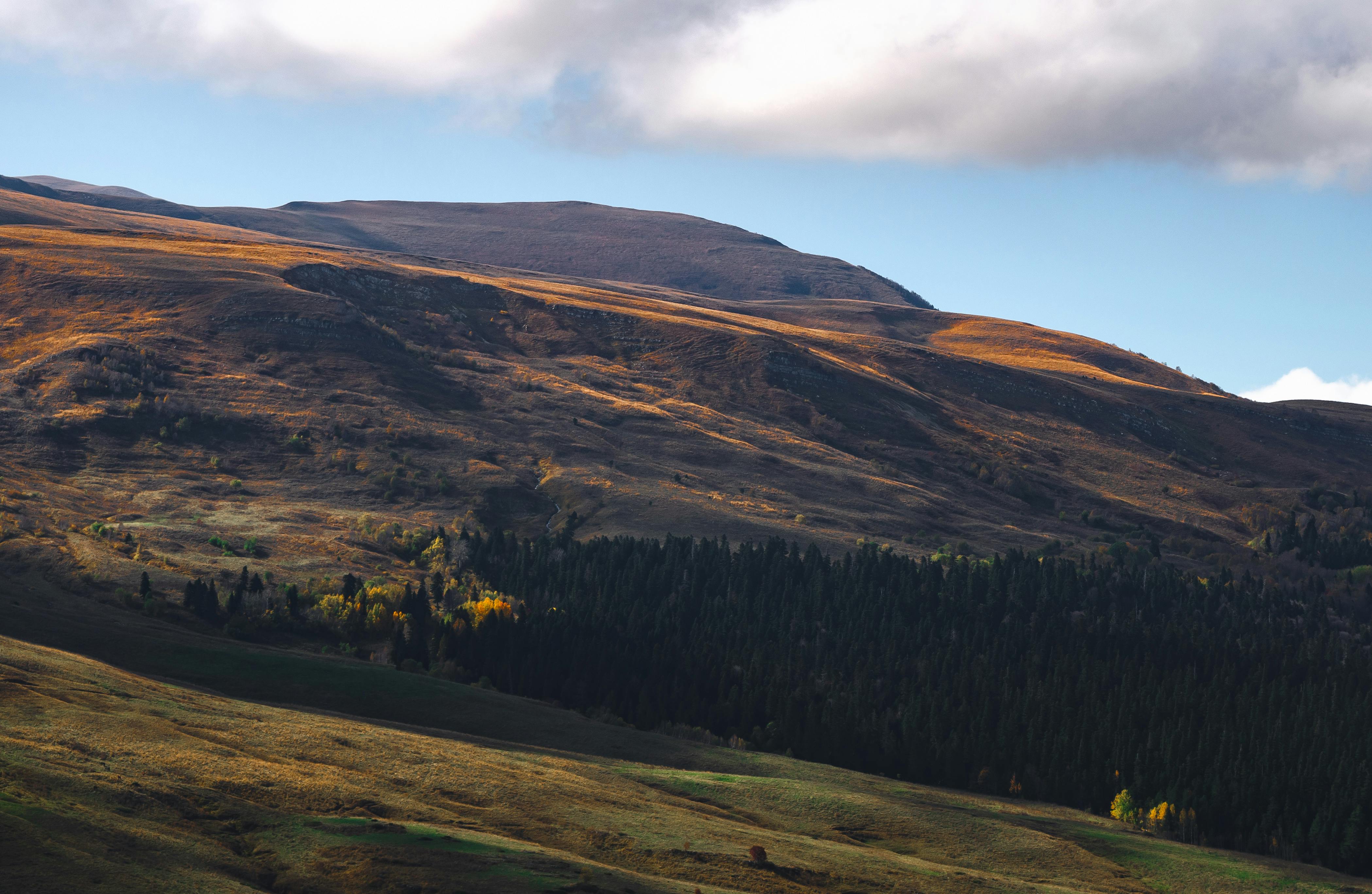 Brown Mountain · Free Stock Photo