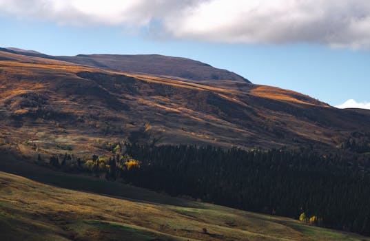 秋色和森林在阳光明媚的山地景观中令人惊叹