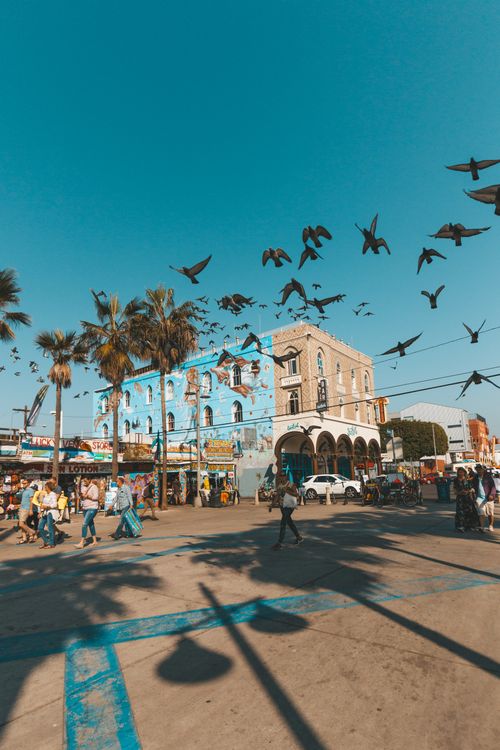 Free Dynamic street scene at Venice Beach, Los Angeles with birds flying overhead and bustling pedestrians below. Stock Photo