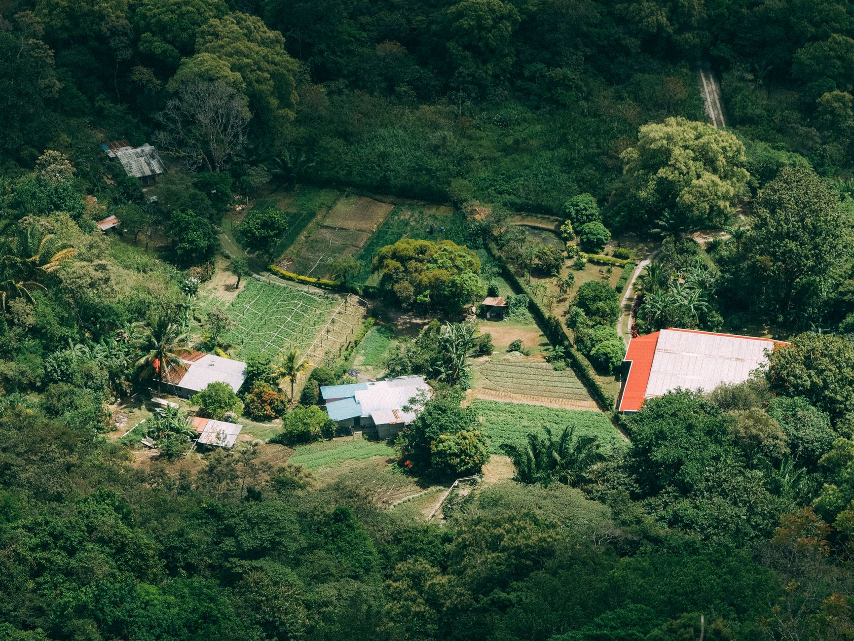 Aerial view of lush green farmlands and cultivated valleys in western Panama — the productive agricultural landscape that makes Chiriquí the breadbasket of the country.