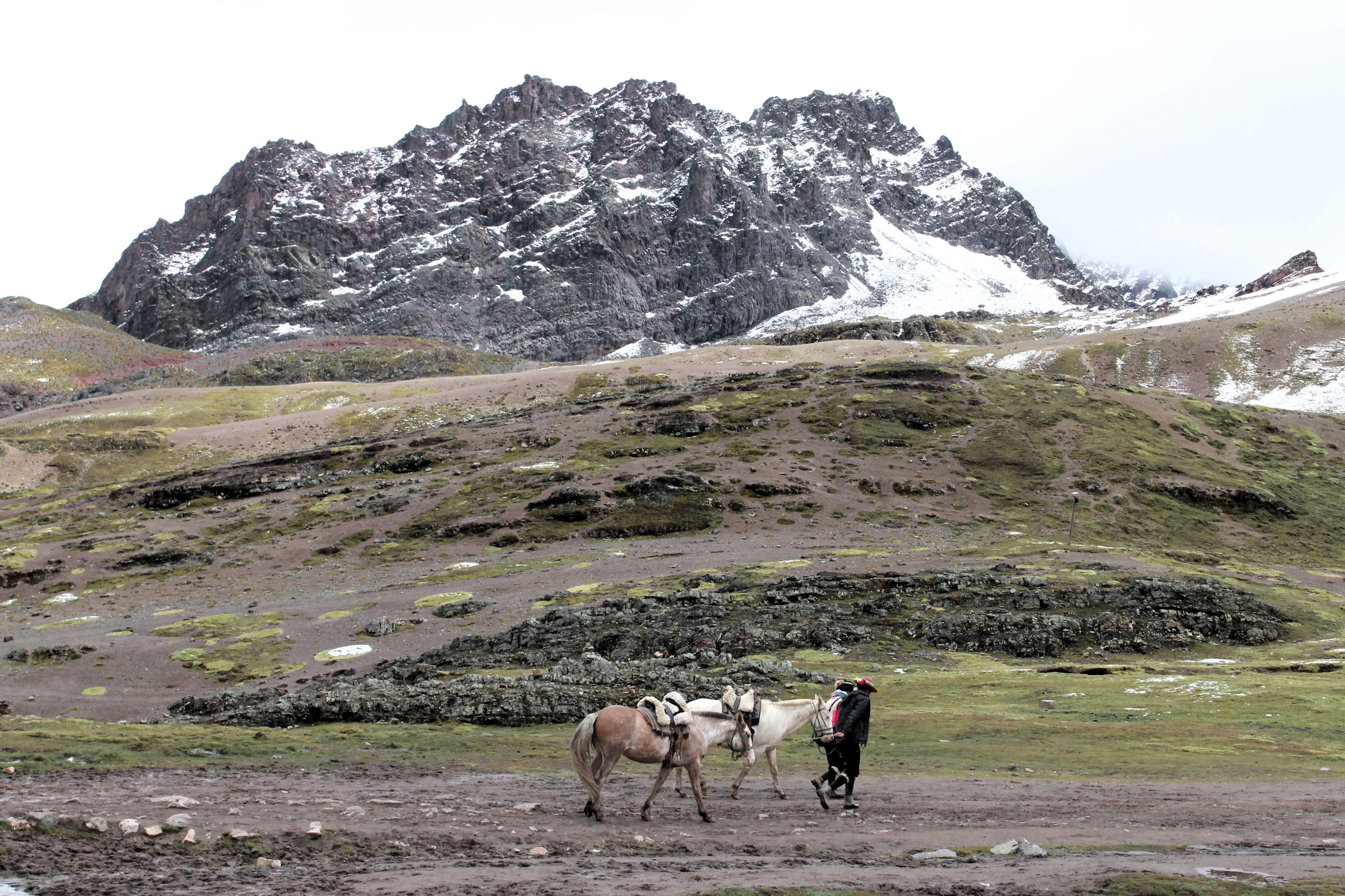 Amazing Amazon Untamed Expedition 3 Days and 2 Nights Pacaya Samiria Review: My Complete Guide to Peru's Wildest Jungle Adventure Review 2026 - Man with horses traversing the Andes mountains near Cusco, Peru.