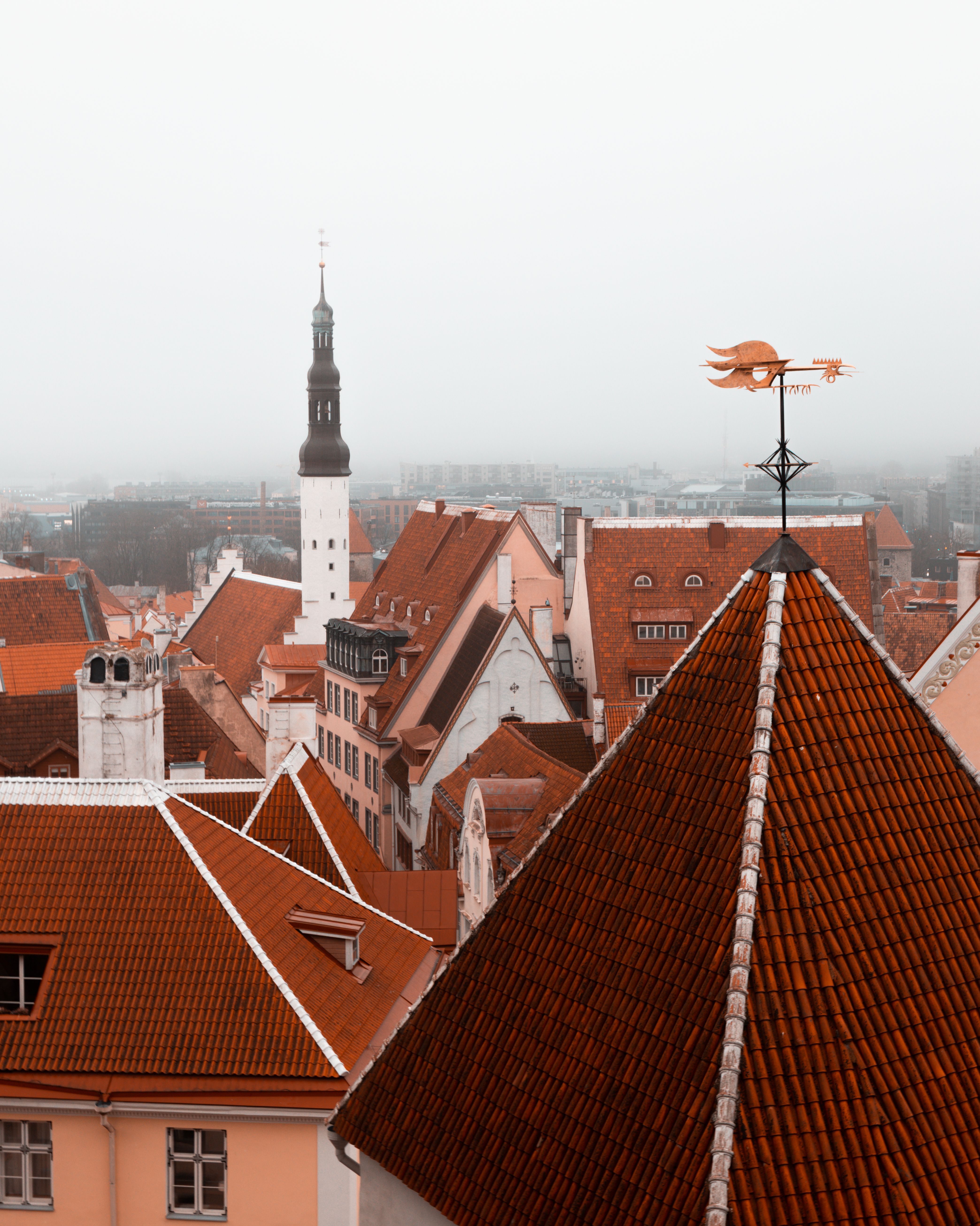 Stunning Rooftop View of Tallinn's Historic Old Town · Free Stock Photo