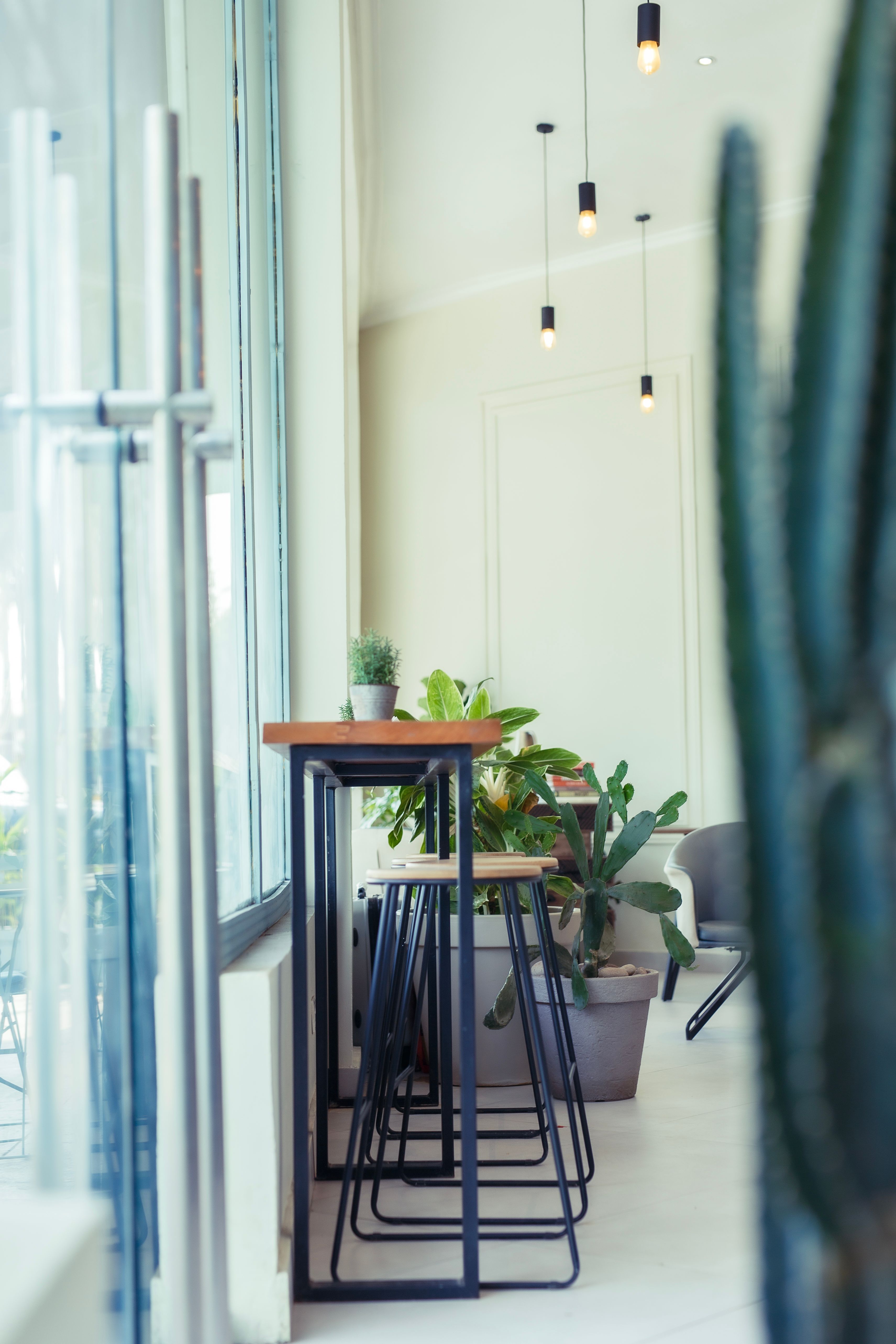 Modern Indoor Cafe with Plants and Seating · Free Stock Photo