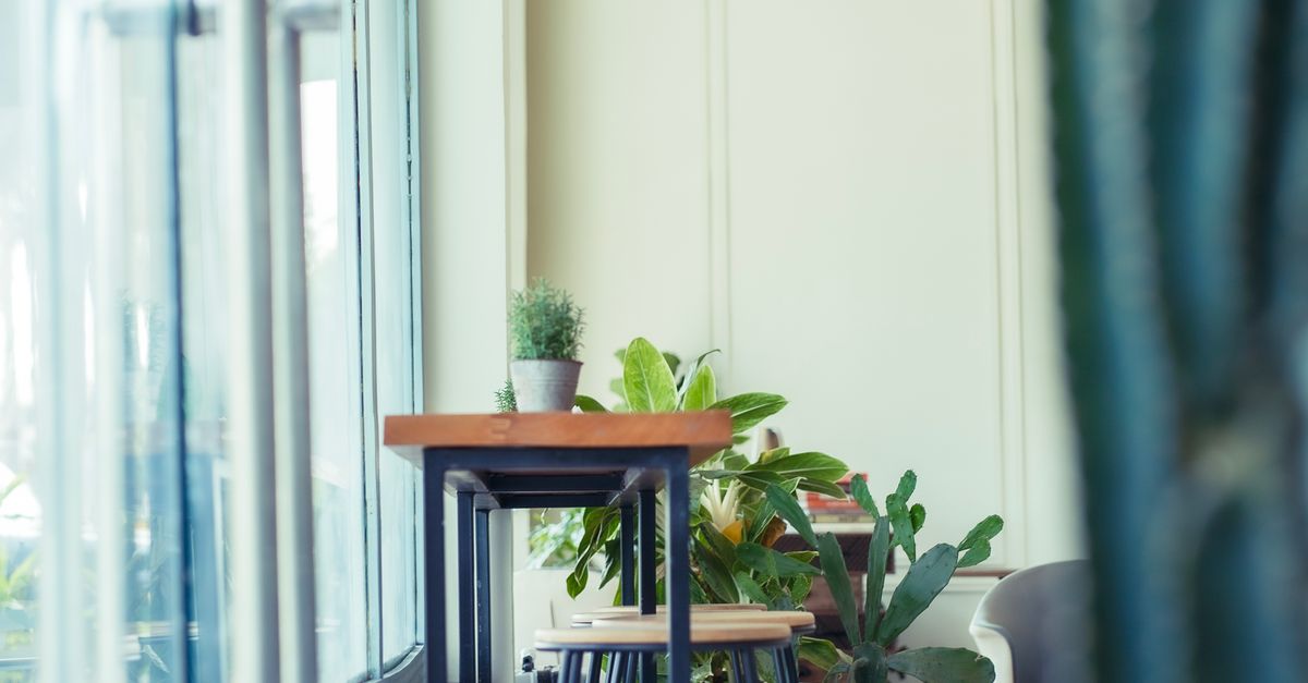 Modern Indoor Cafe with Plants and Seating · Free Stock Photo
