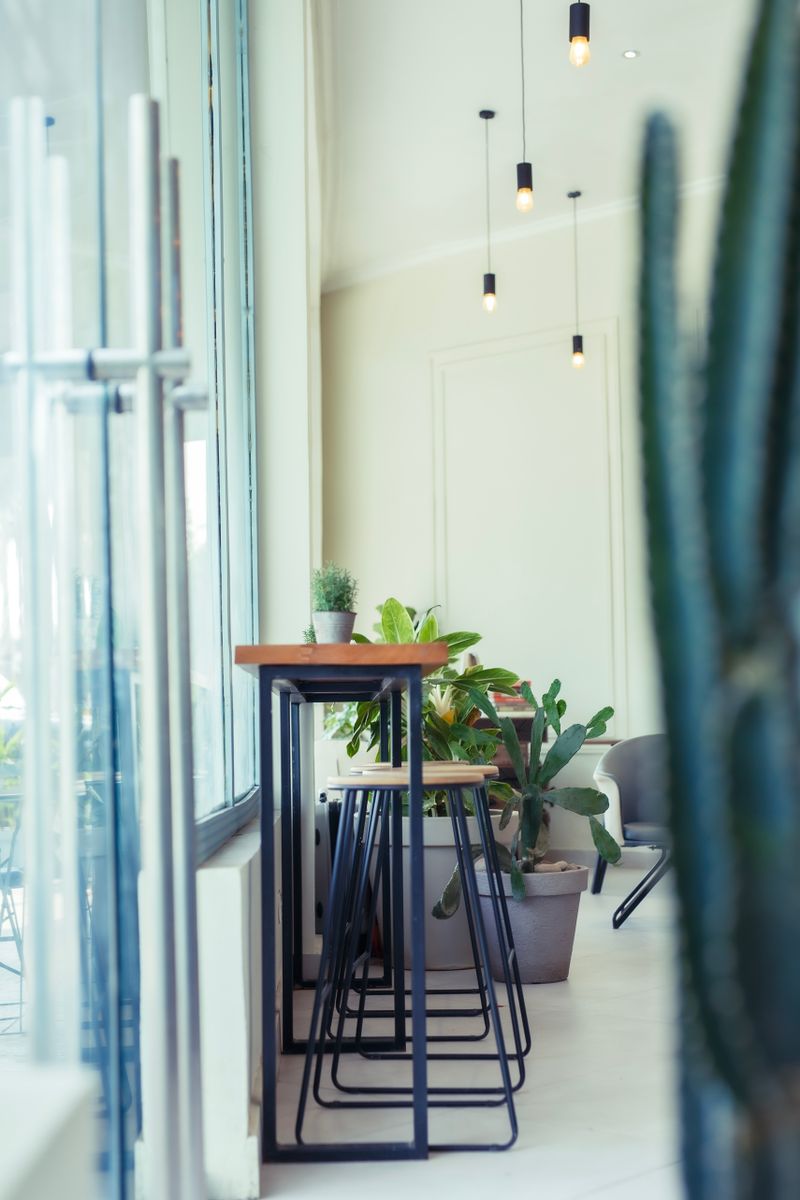 Sunny café corner with timber tables dressed in trailing plants