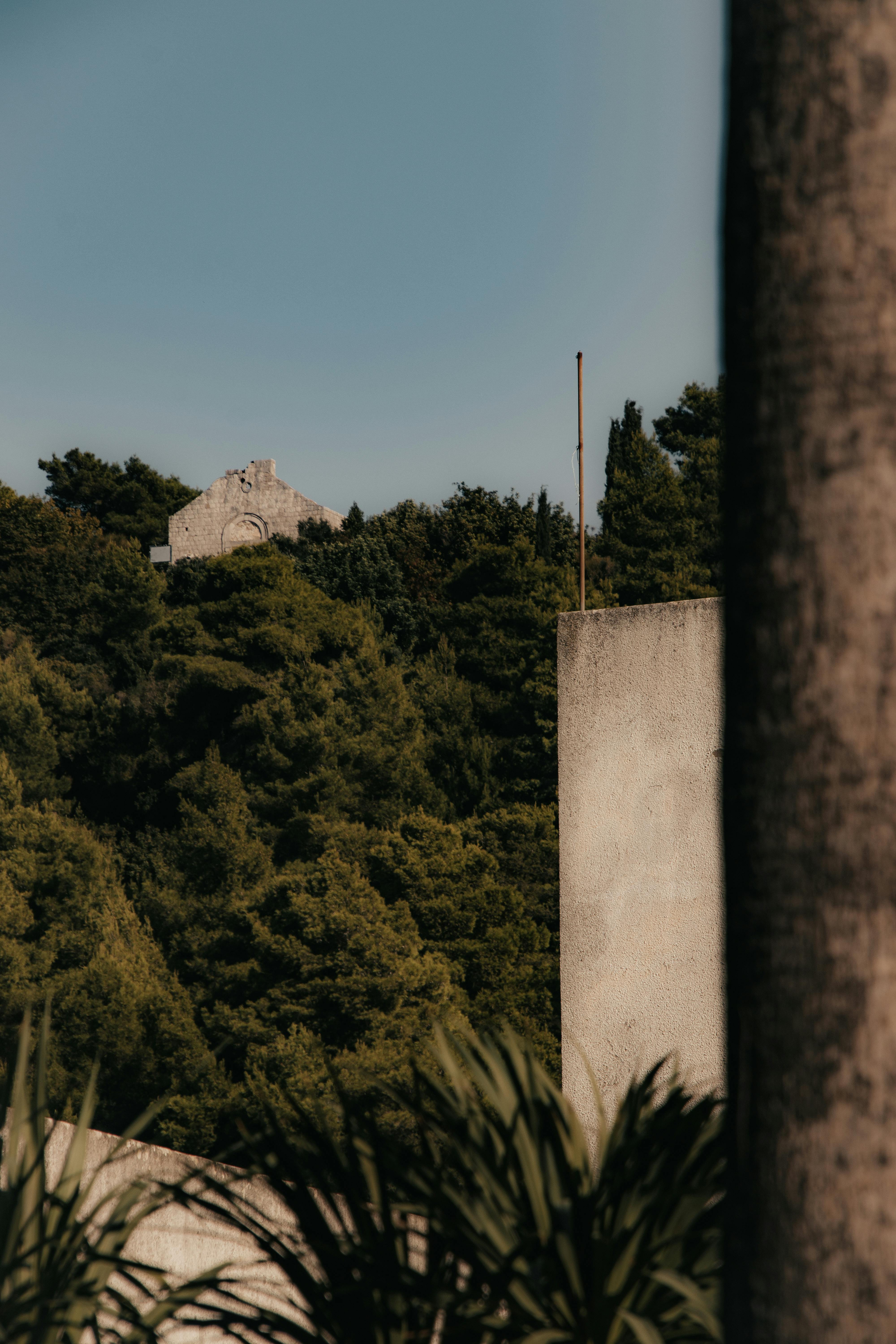 pexels-photo-30775349.jpeg