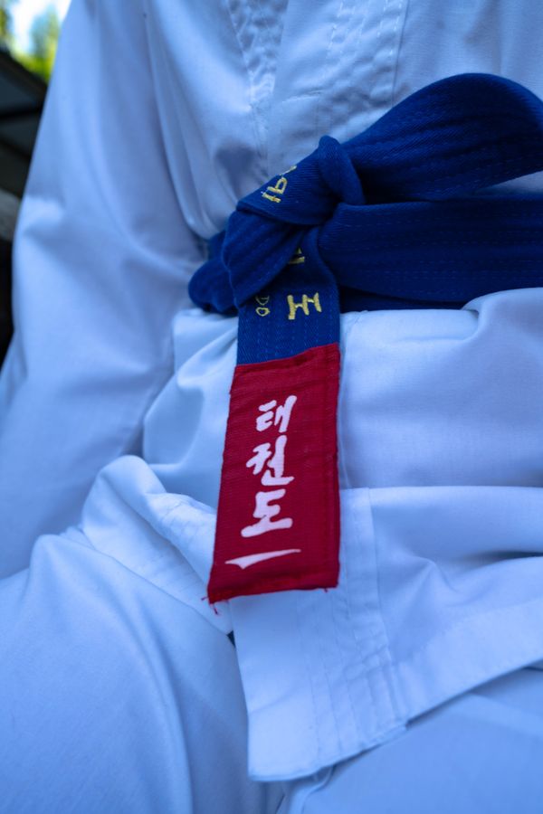 Taekwondo