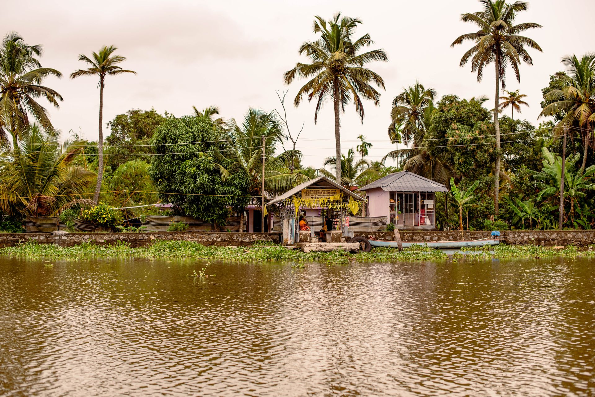 Backwater Edge