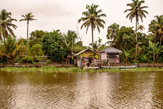 Backwater Edge