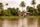 kerala backwaters