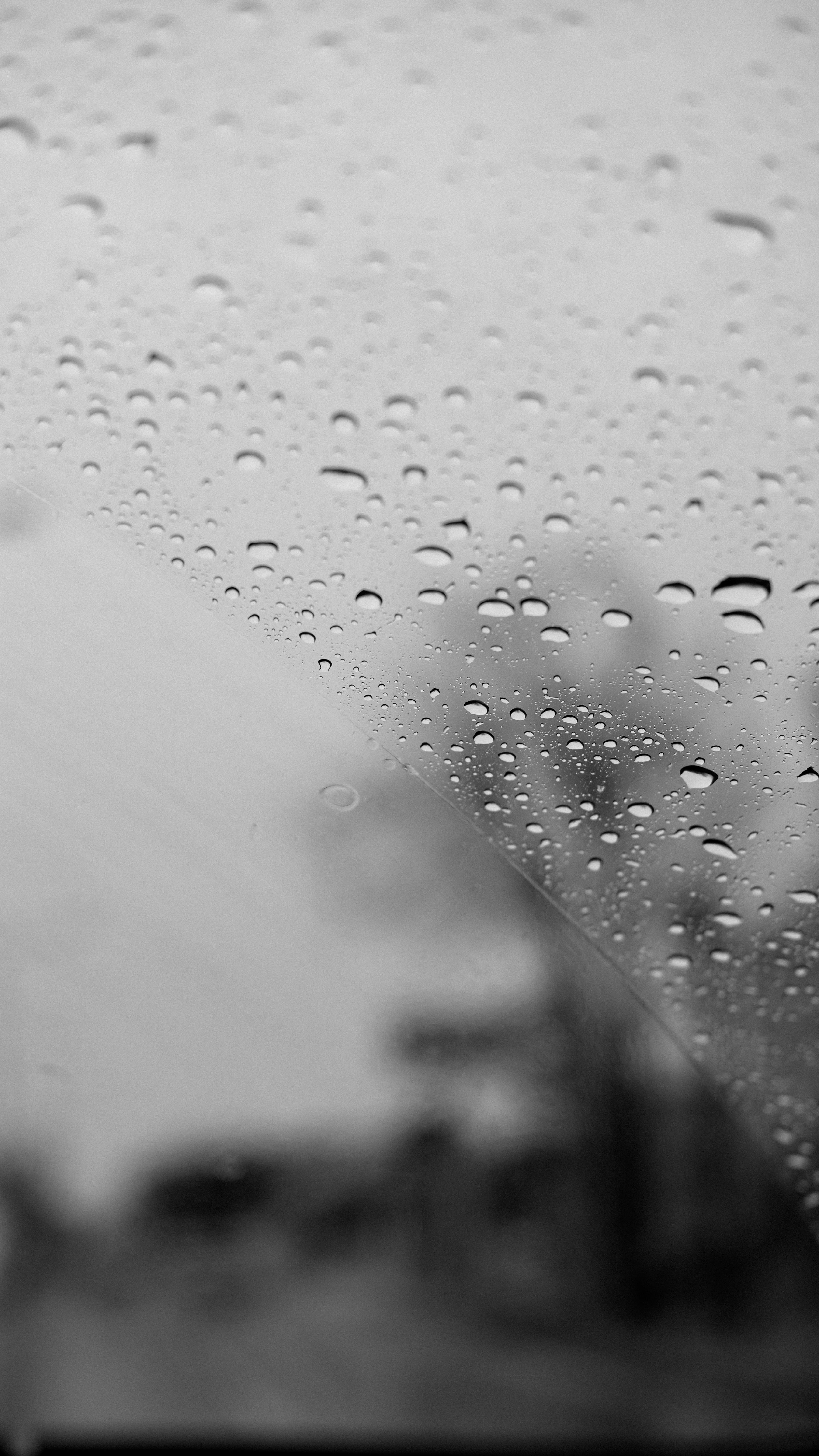 șofer prins circulând cu 169 km/h în ploaie și vizibilitate redusă