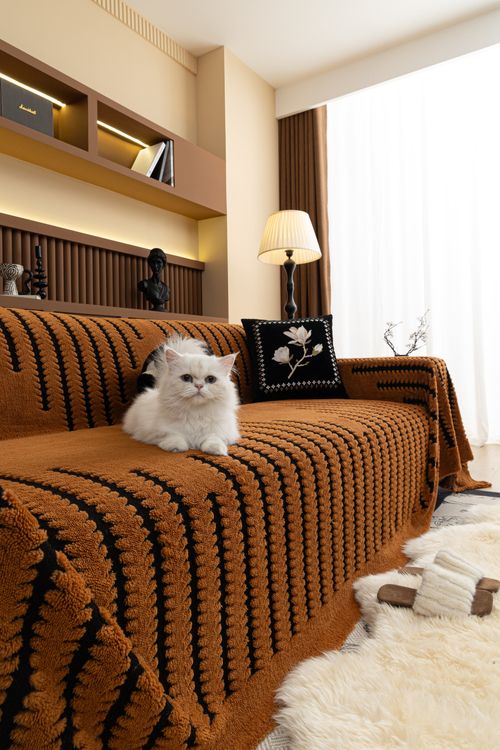 Comfortable Living Room with Cat on Sofa · Free Stock Photo