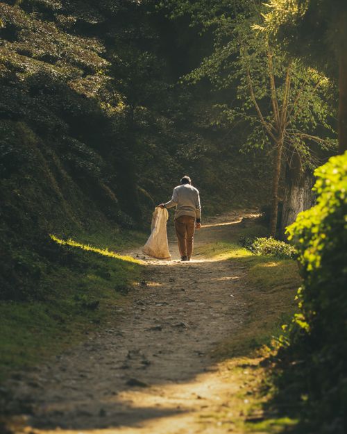 Free Romantic couple walking hand-in-hand down a forest path bathed in golden sunlight. Stock Photo