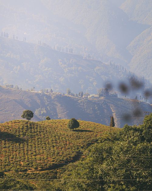Free Breathtaking view of rolling hills with lush greenery and distant mountains under a clear sky. Stock Photo