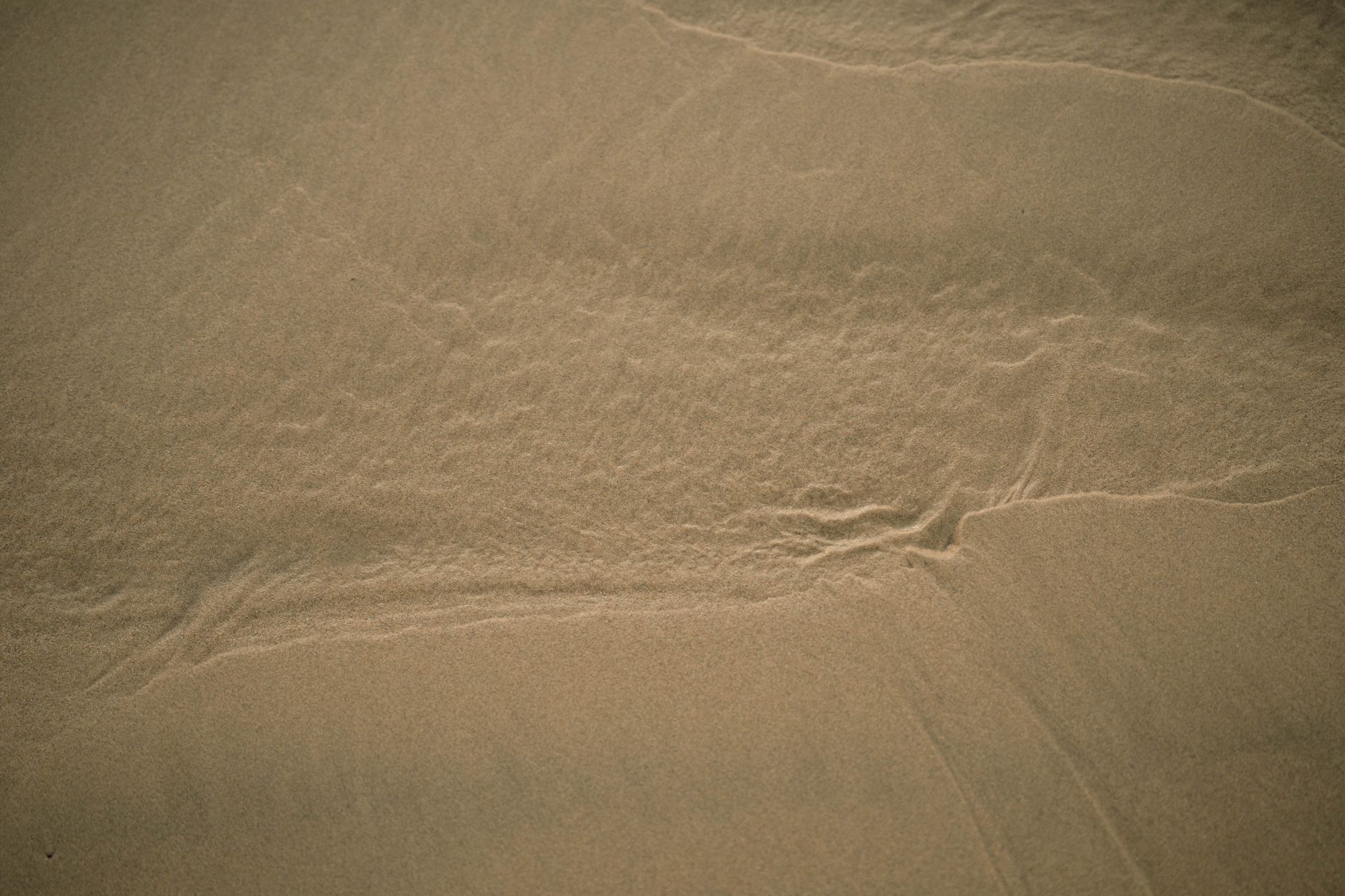 Close-up of sand texture with subtle watermarks, captured at a tranquil beach during sunset.