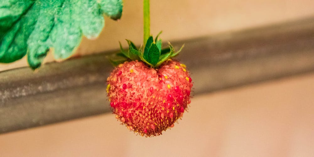 Khám Phá Thế Giới Sôi Động của hướng dẫn đăng ký go88