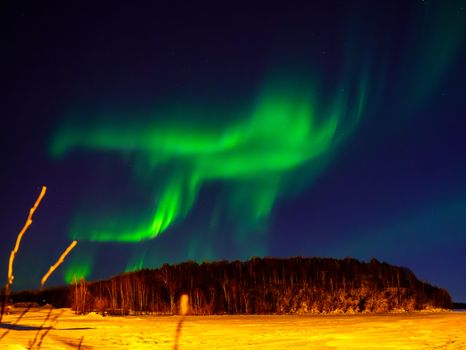 Experience the vibrant northern lights dancing above a snowy forest in Lapland, Finland.