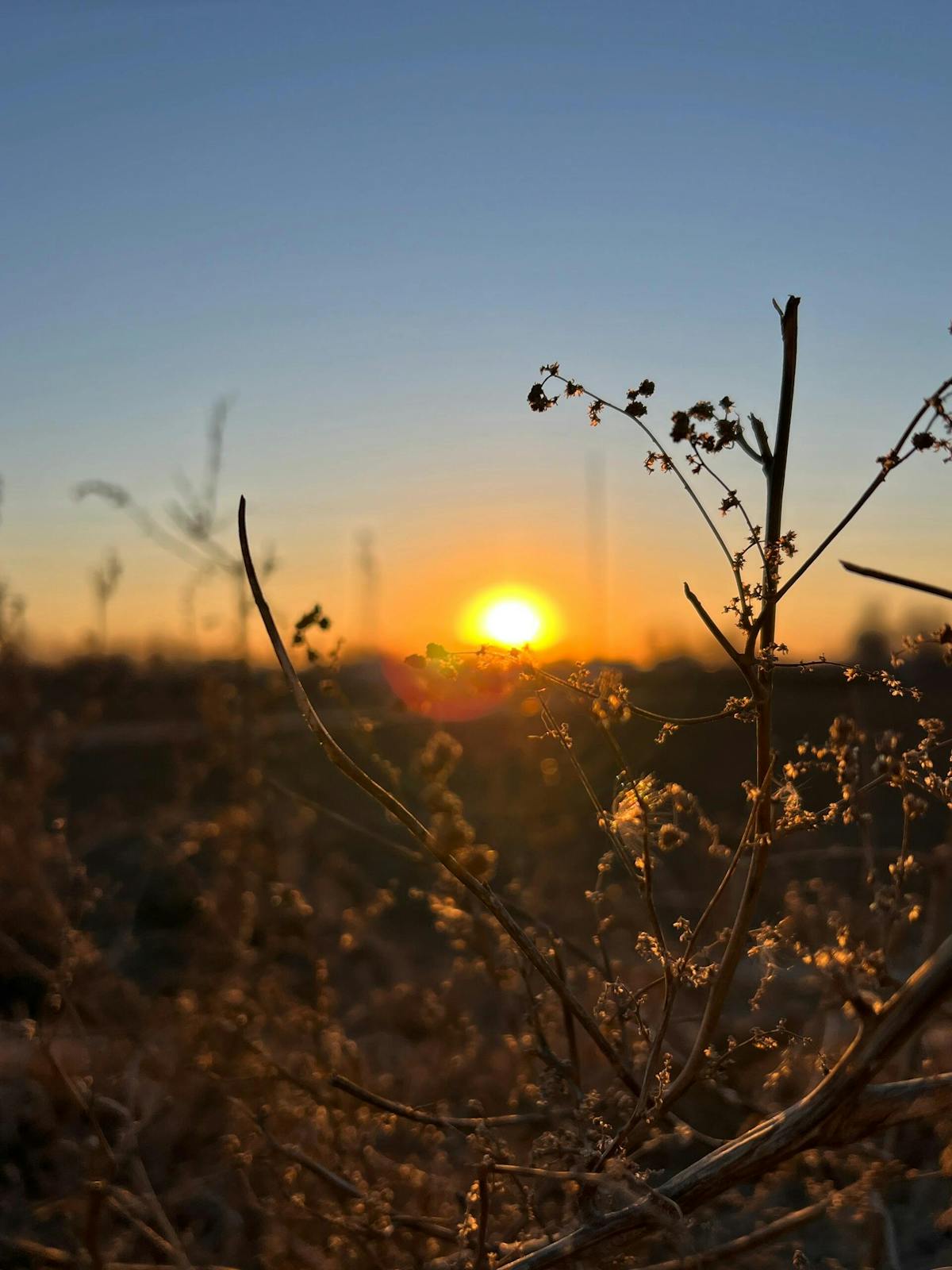 Oceanfront condo in Fort Pierce