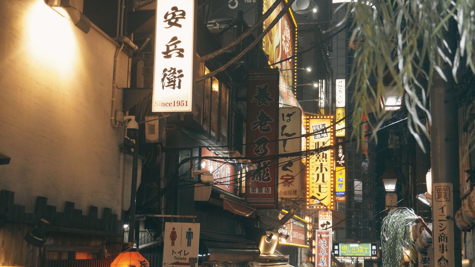 Tokyo after dark — the city many travellers come for.