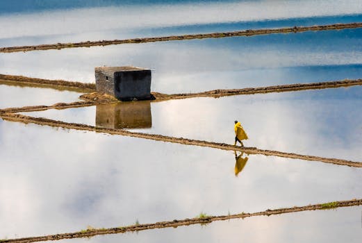 A person in a yellow raincoat walks through reflective rice fields under a cloudy sky.