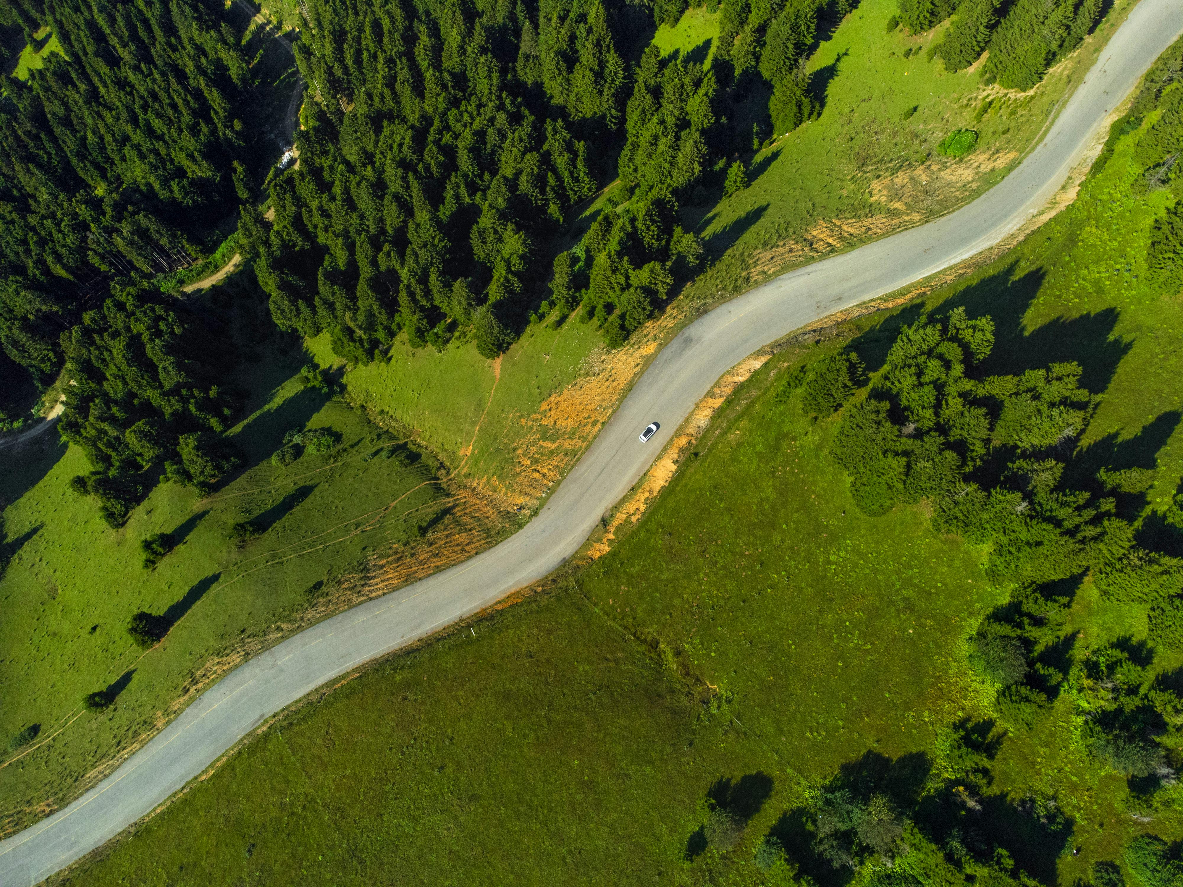 Aerial photograph showcasing a winding road amidst a lush green forest, highlighting natural beauty.