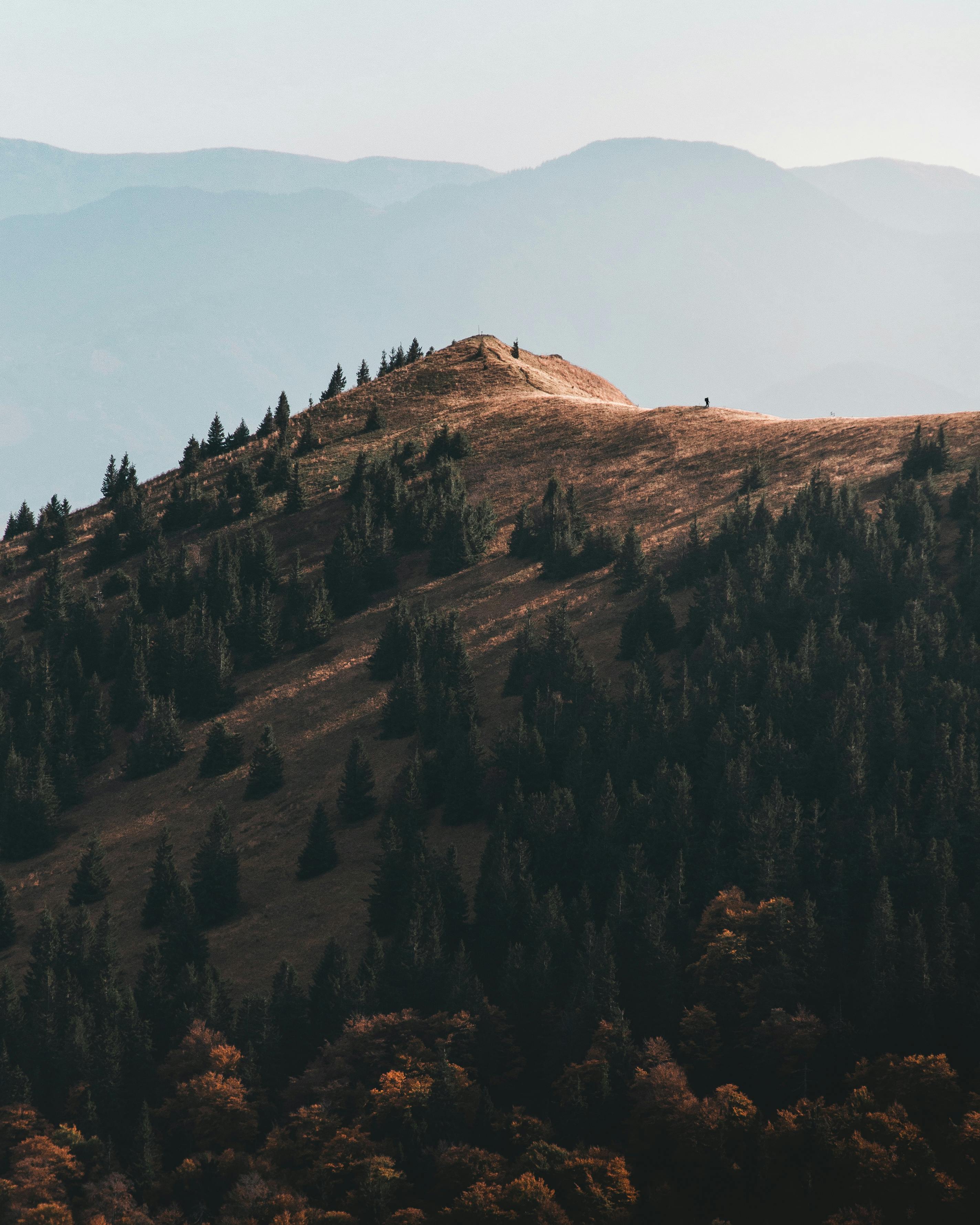晴朗的天空下，绿树成荫的山地景色宁静宜人，非常适合自然爱好者