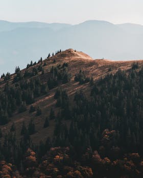 晴朗的天空下，绿树成荫的山地景色宁静宜人，非常适合自然爱好者
