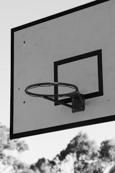 Close-up of an outdoor basketball hoop in black and white with blurred trees in the background.