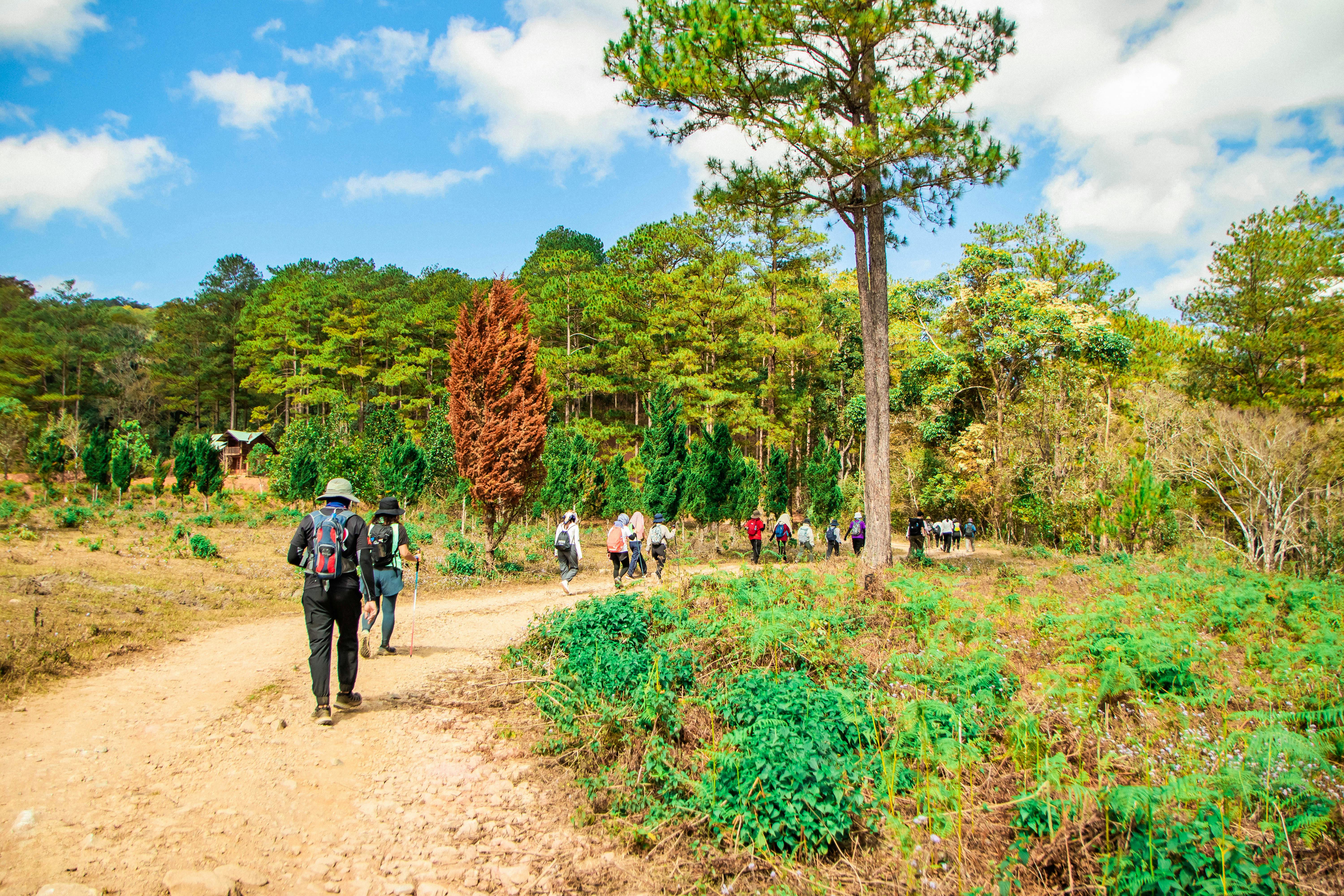 group hiking adventure in lam d ng forest