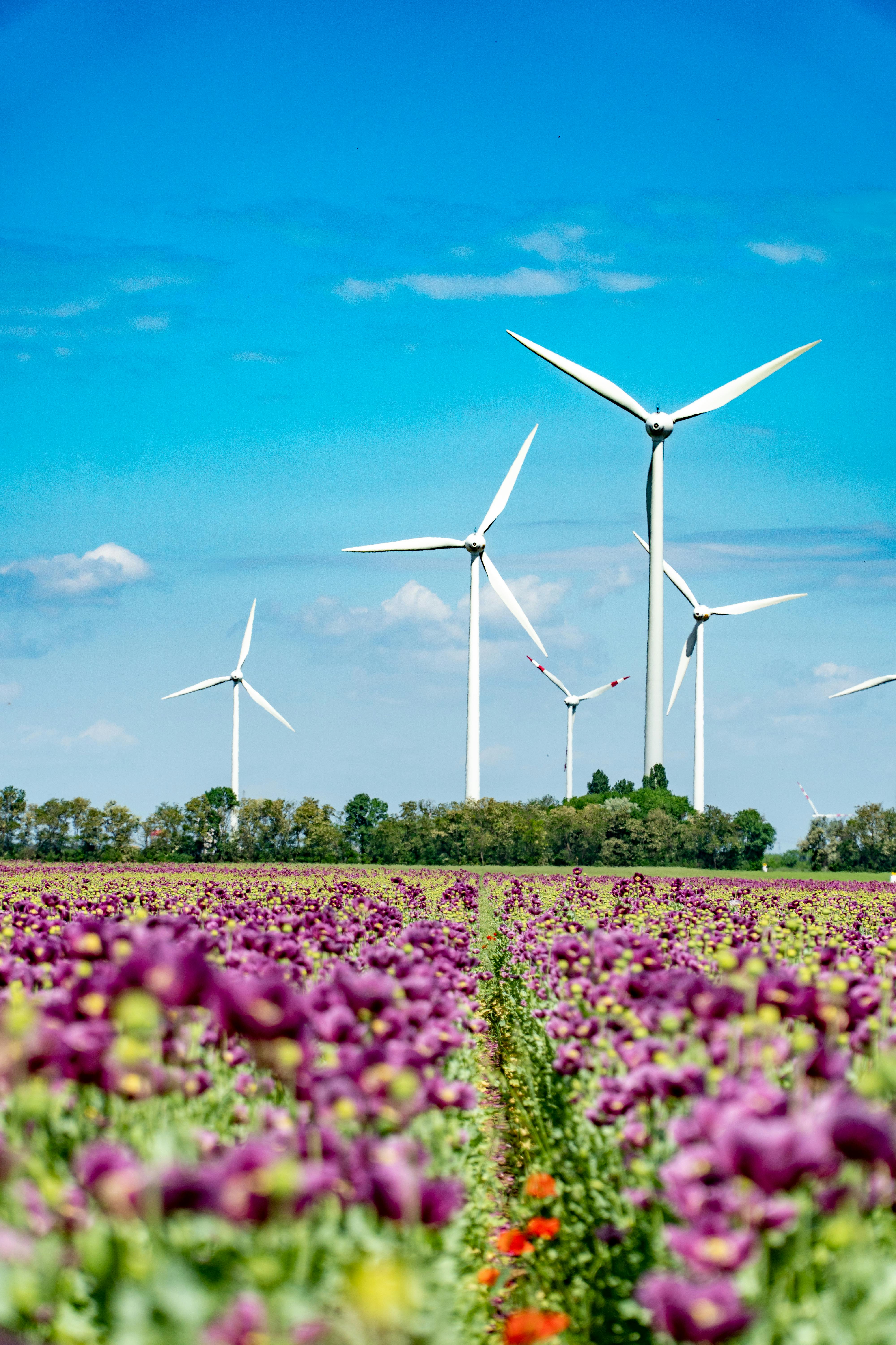 Understanding the Influence of Load Variations on Generator Performance ...