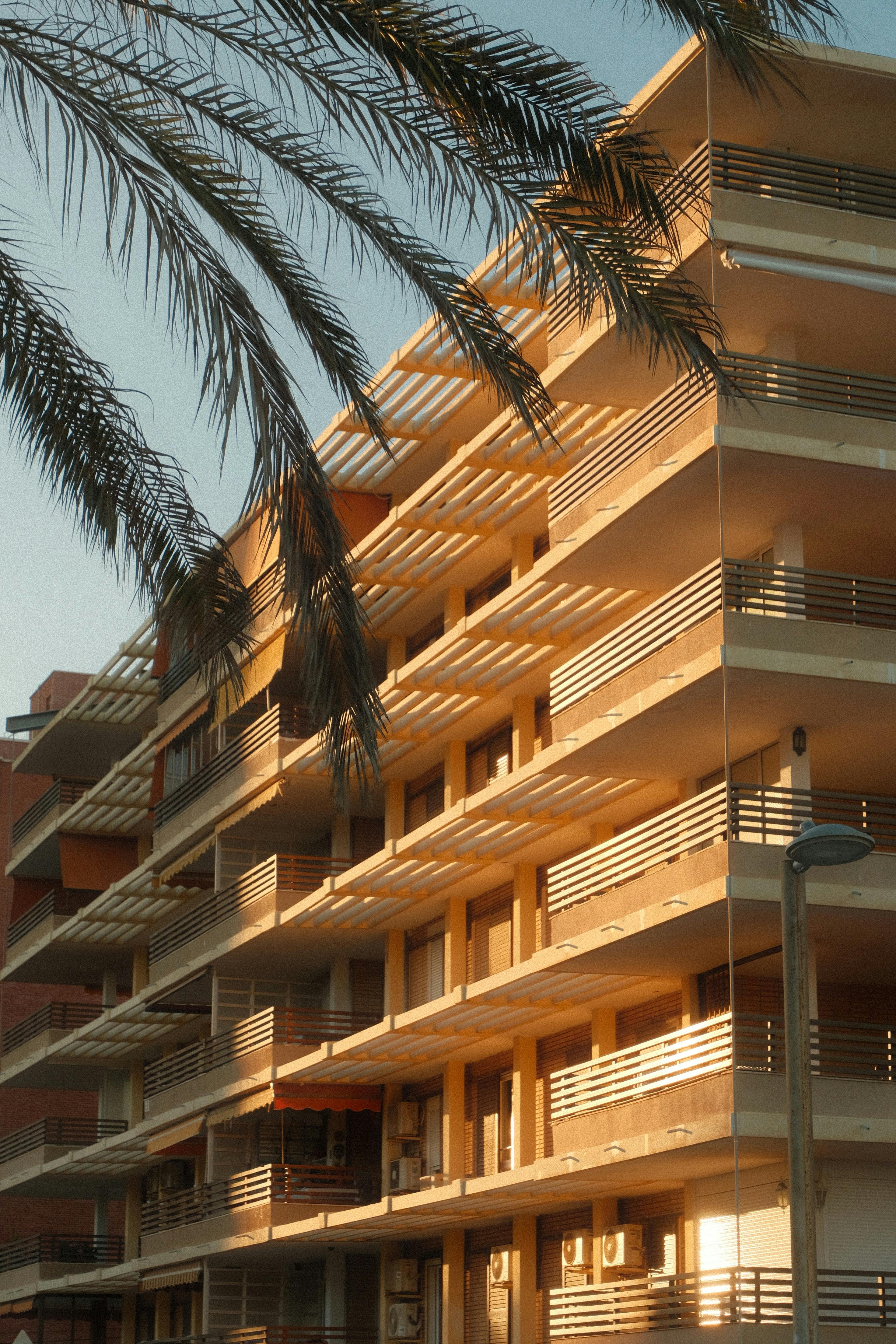 Sunlit modern apartment building exterior with palm trees, showcasing urban architecture.