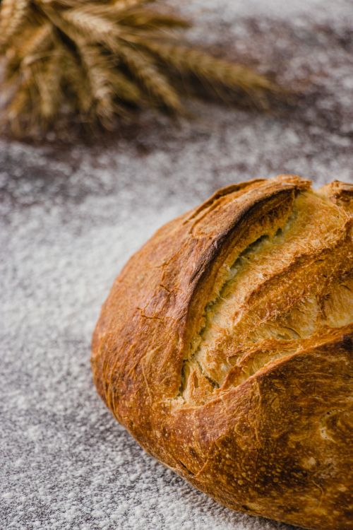 Free Crisp and golden-crusted artisan bread on a flour-dusted surface with wheat stalks. Stock Photo