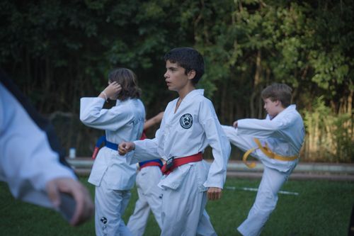 Free Boys practicing Taekwondo outdoors, showcasing martial arts discipline and focus. Stock Photo