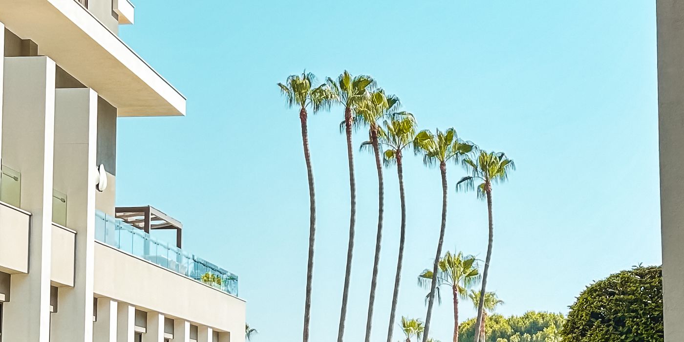 Luxury resort hotel exterior framed by palm trees under a clear sky