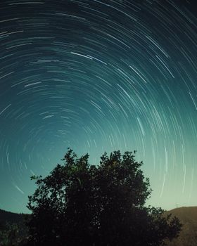 Mesmerizing star trails create a vortex above a dark forest landscape, capturing the night's beauty.