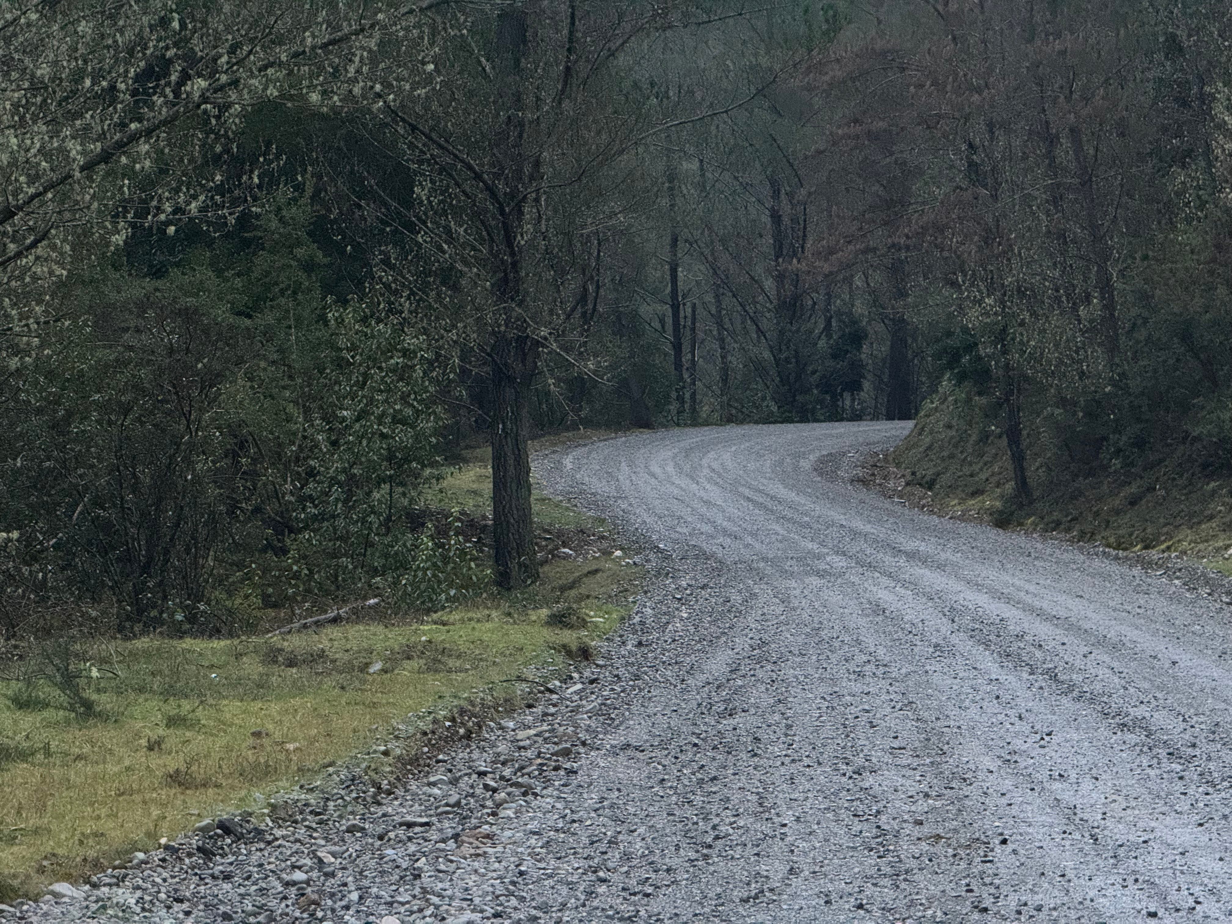 The FIRE road map: Early retirees explain their 2-part investment strategy to hit financial independence — Photo by Leonardo 