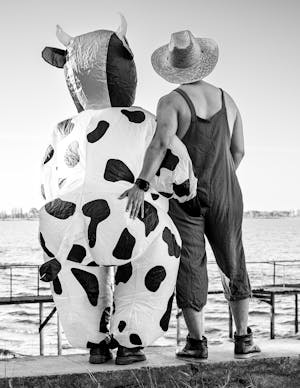 Black+Camel+Toes Photos, Download The BEST Free Black+Camel+Toes Stock