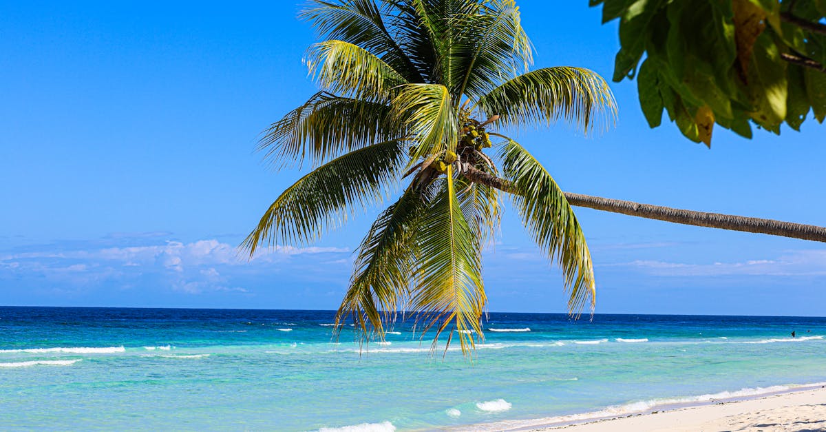 Negril