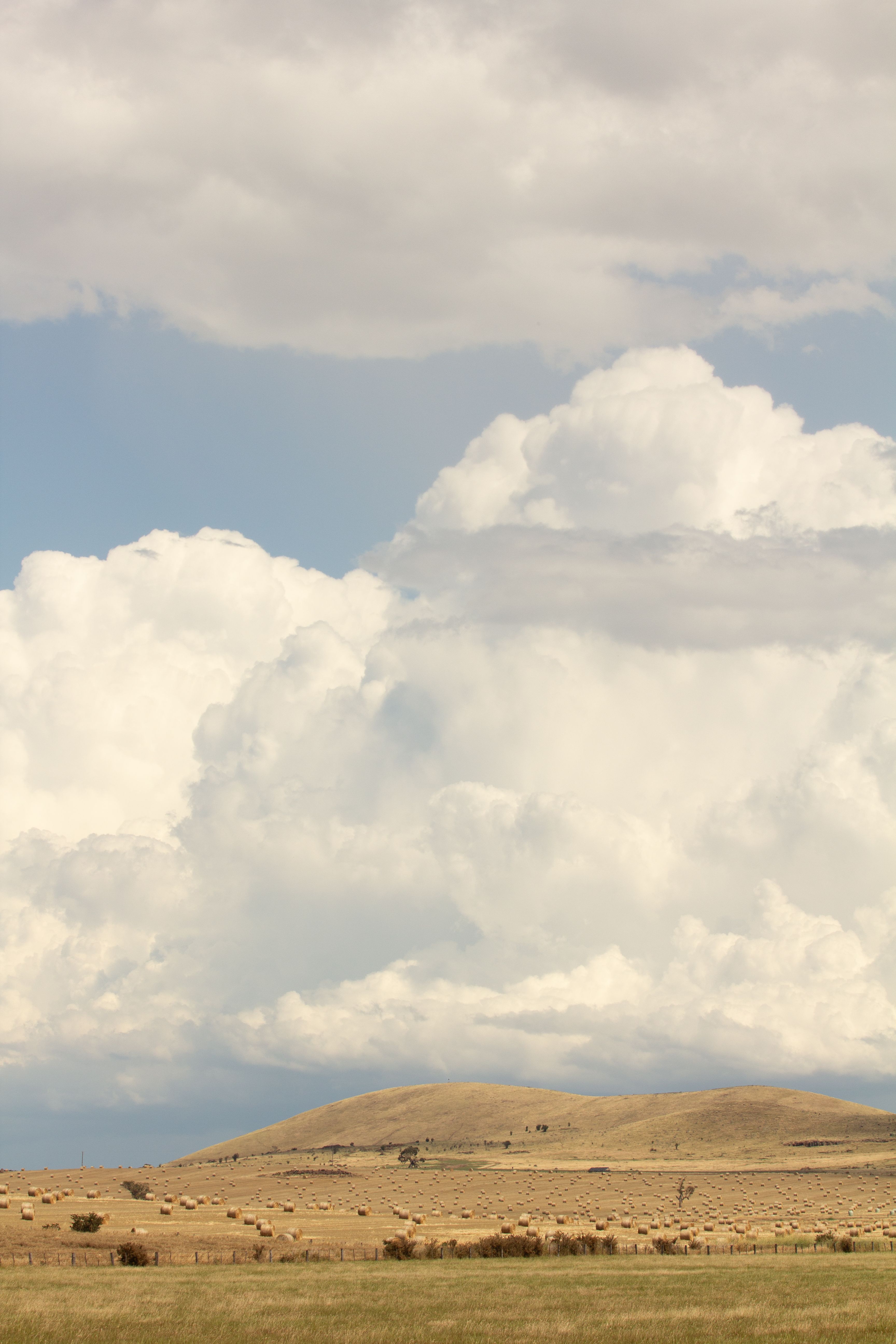 Dramatic clouds fill the sky over rolling hills in Beechworth, Victoria.