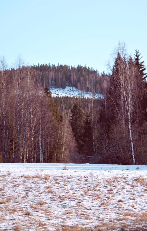 Free Serene winter scene in Uddeholm, Varmland County, Sweden, showcasing snow-covered fields and trees. Stock Photo