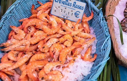 Crevettes et fruits de mer du fjord.