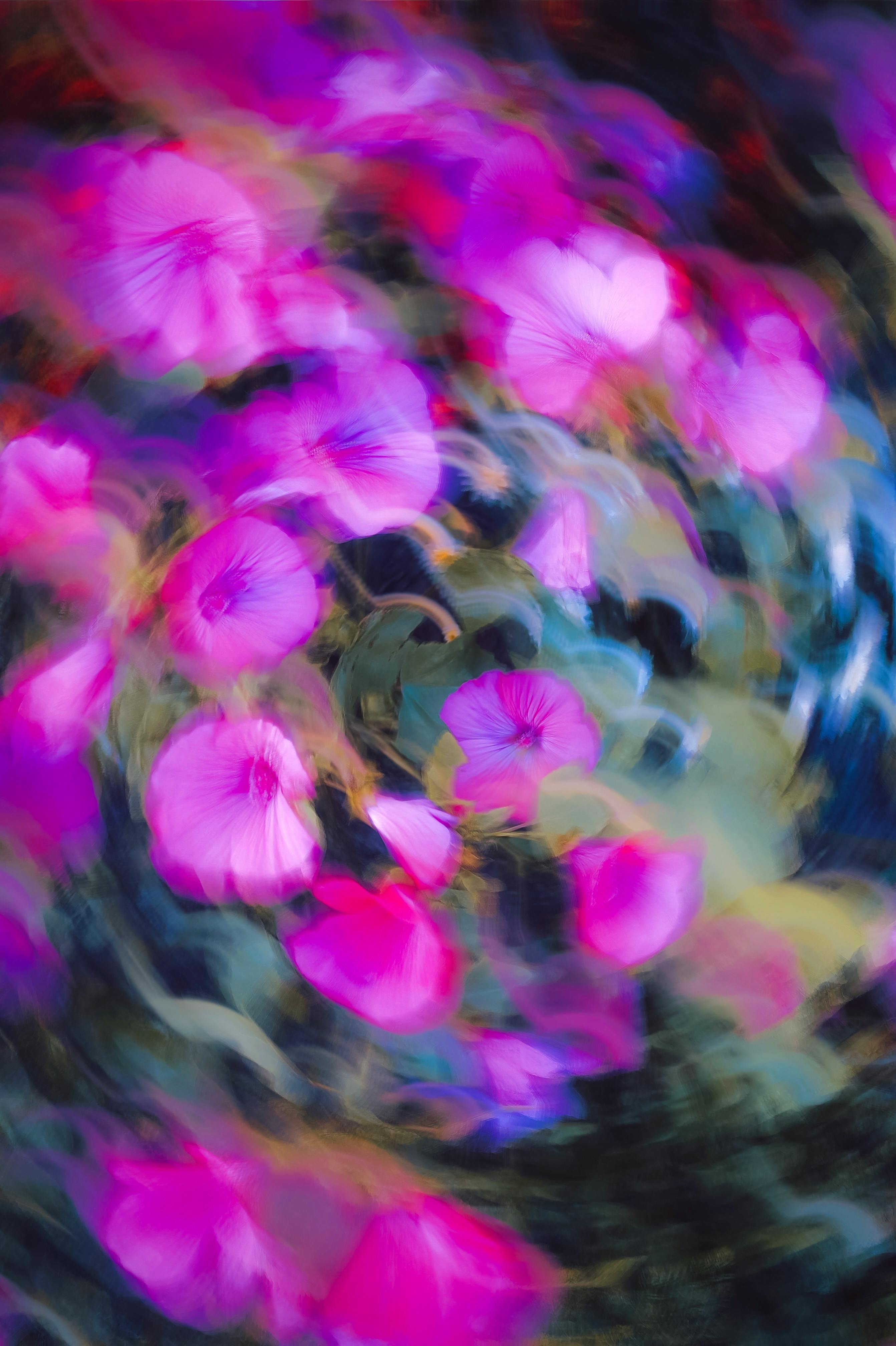 A dynamic abstract swirl of vivid pink flowers creating a mesmerizing visual effect.