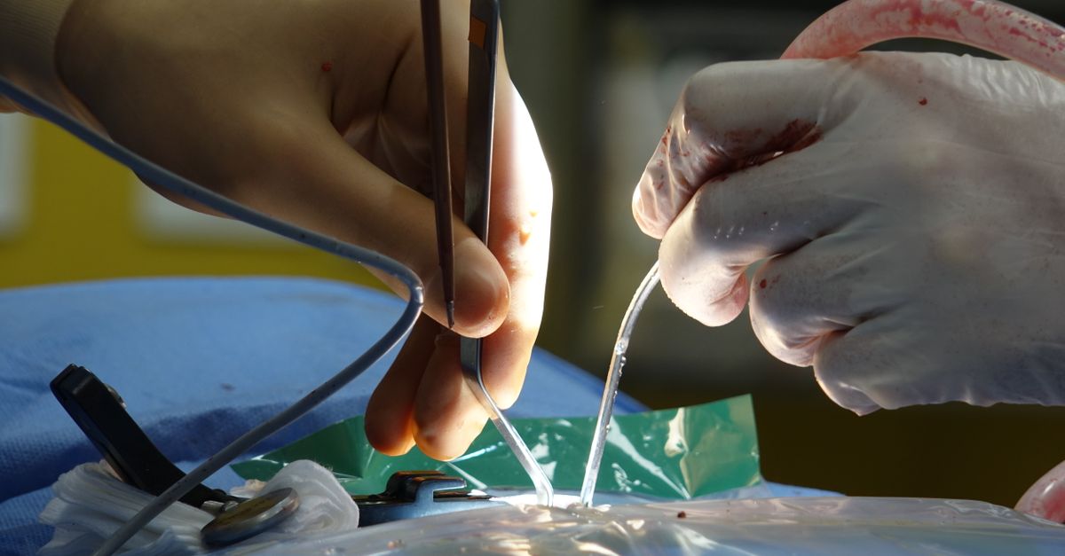 Cholangiocarcinoma Market Growth Driven by Emerging Therapies