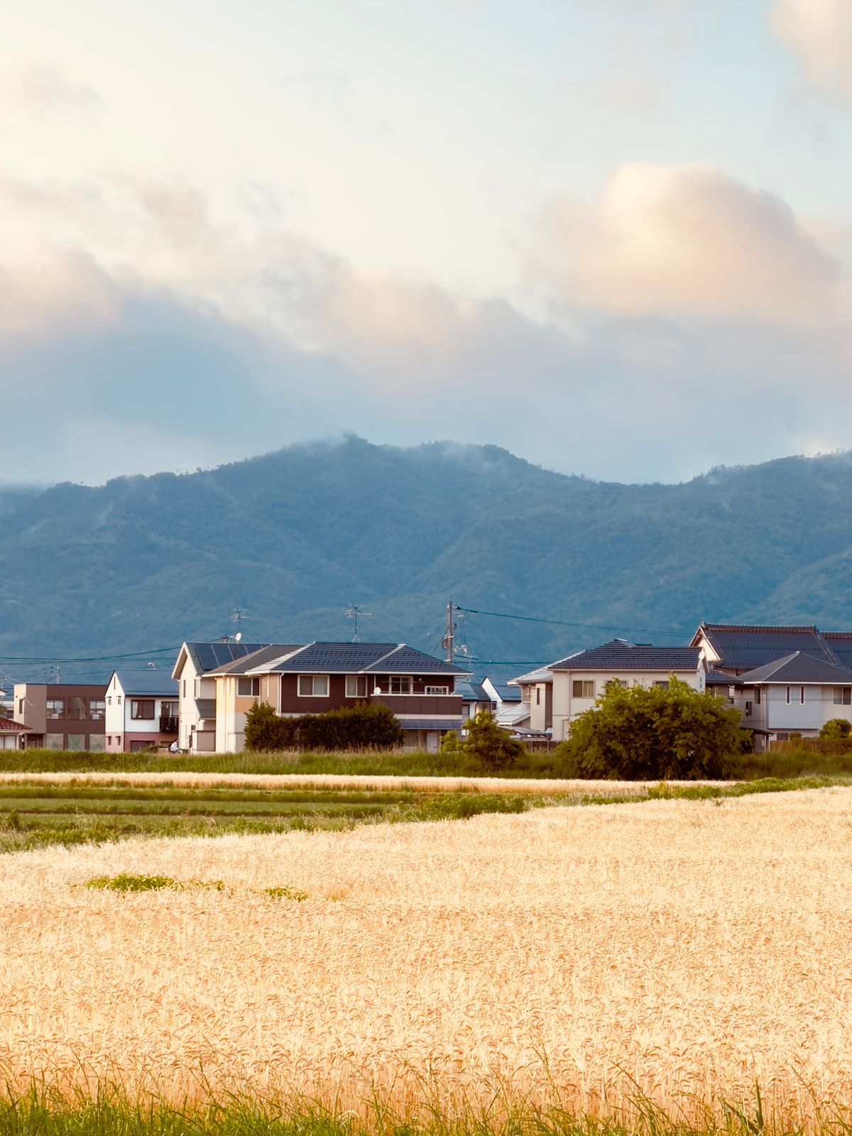夕暮れの日本の田舎の風景